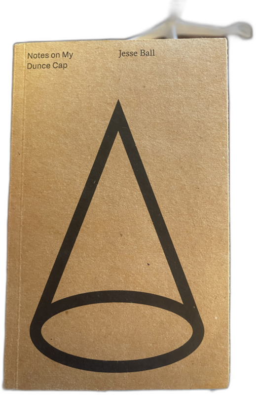 Notes on my Dunce Cap, Jesse Ball