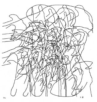 computer grass